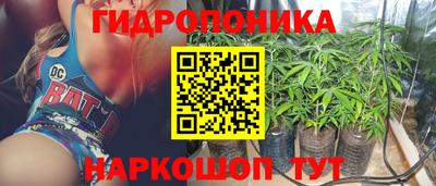 круглые Лесосибирск