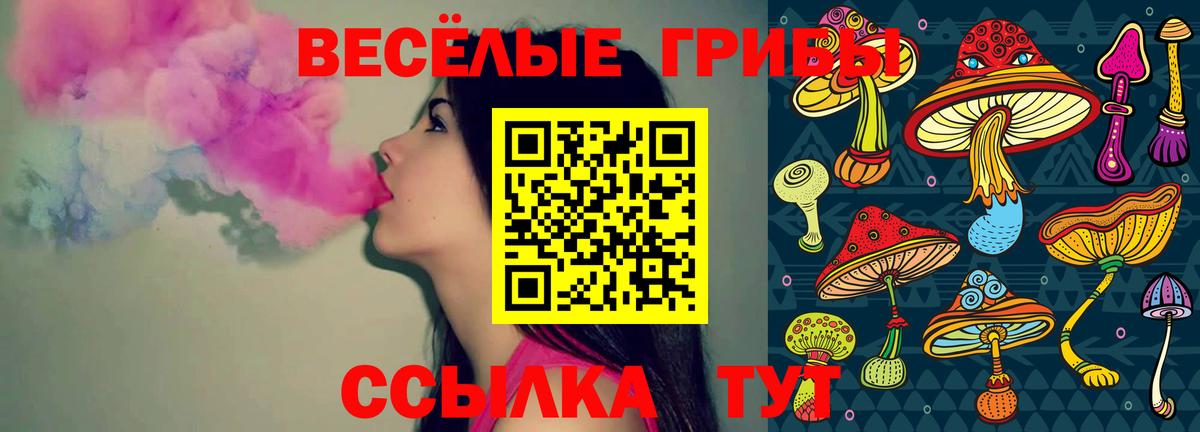 Псилоцибиновые грибы мухоморы Кингисепп