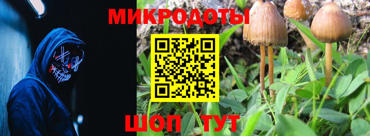 Кингисепп  Псилоцибиновые грибы мицелий  Галлюциногенные грибы ЛСД  Вход с VPN 